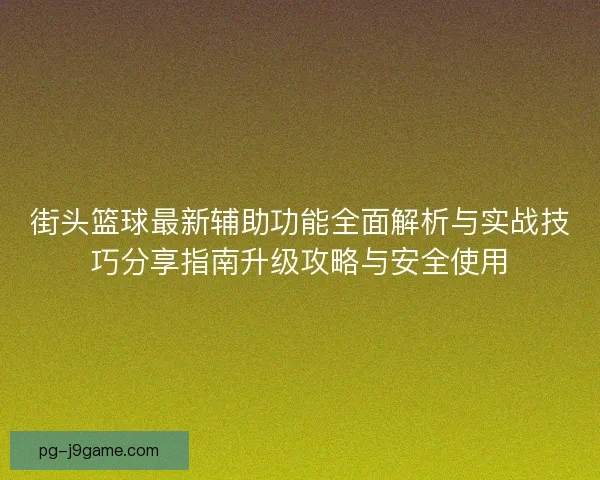 街头篮球最新辅助功能全面解析与实战技巧分享指南升级攻略与安全使用